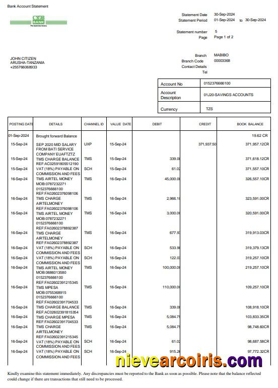 Tanzania CRDB bank statement 3 – 6 months Word and PDF example